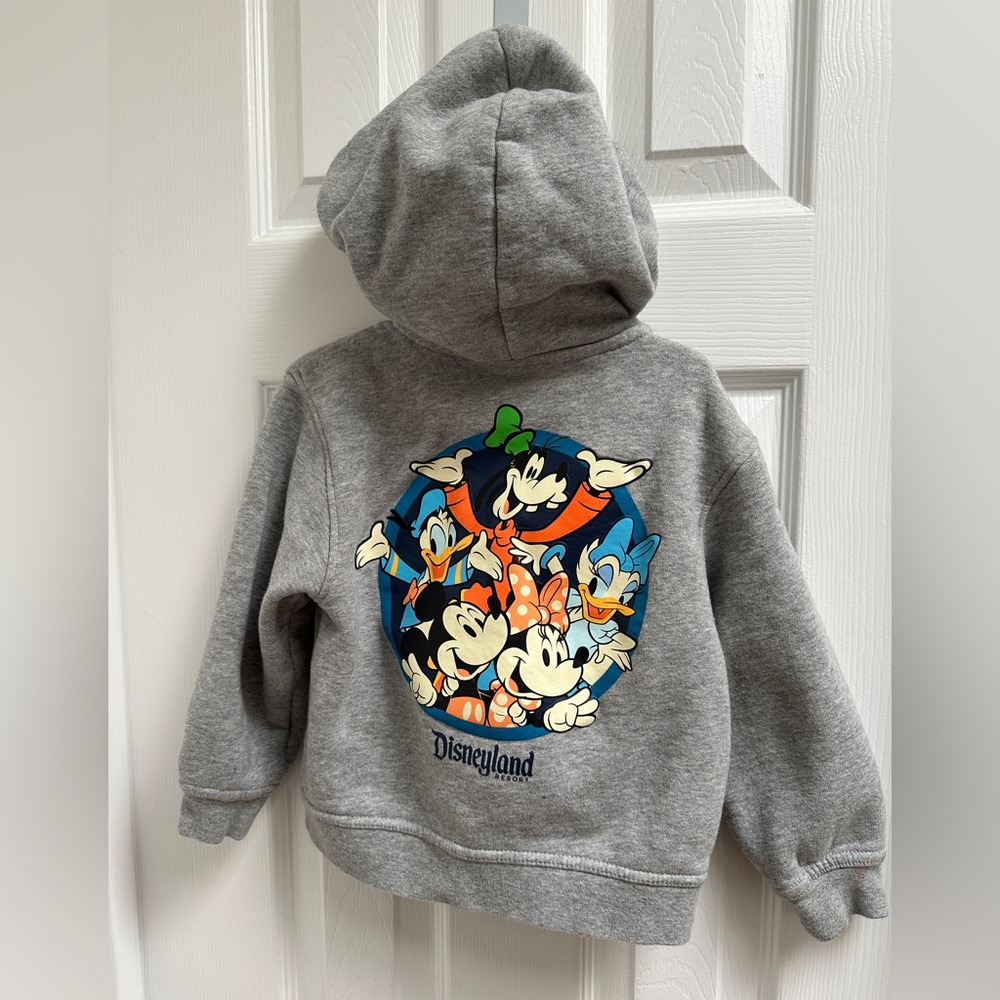 Disneyland kids gray zip up hoodie